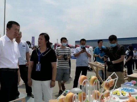 世界青年技能启动日 省人社厅景厅长参观我们展台