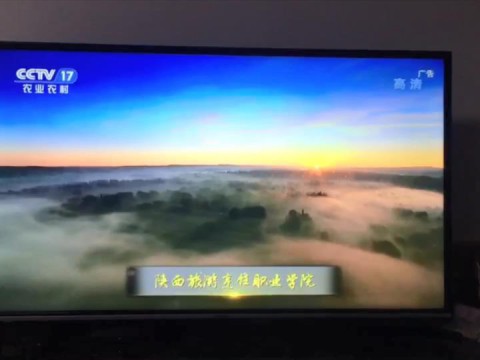 《开云官方版网站登录入口》专题片入选CCTⅤ双创品牌计划