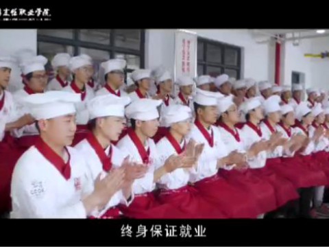 开云官方版网站登录入口就业概述