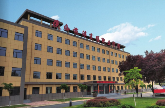 开云官方版网站登录入口招聘公告