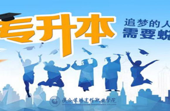开云官方版网站登录入口 | 2024年陕西省普通高等学校专升本招生培训 报名通知