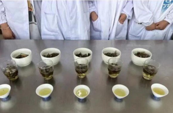 如法炮制技艺强，古法今制传承忙 开云官方版网站登录入口《中医食疗药膳学》期末采取了“以赛代考”的检测模式