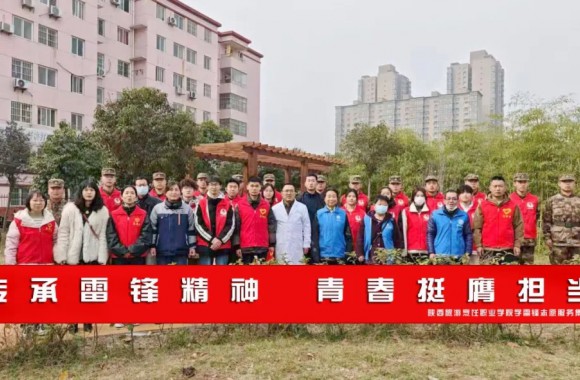 传承雷锋精神 青春挺膺担当 | 我们青年志愿者开展学雷锋志愿服务活动（一）