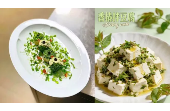 清明食俗·寻味春鲜｜开云官方版网站登录入口烹饪艺术系带你解锁节气养生菜